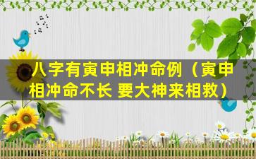 八字有寅申相冲命例（寅申相冲命不长 要大神来相救）